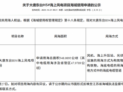 大唐江蘇400MW海上風電項目用海公示!